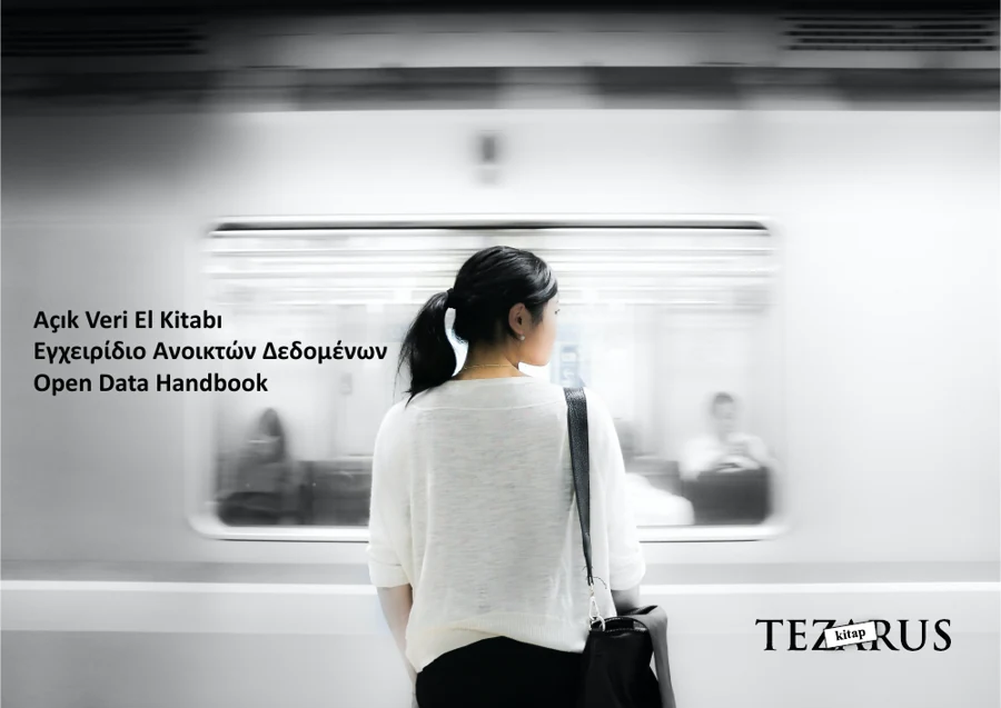 Açık Veri El Kitabı kitap kapağı